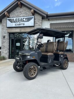 2025 Denago Rover XL Special Edition