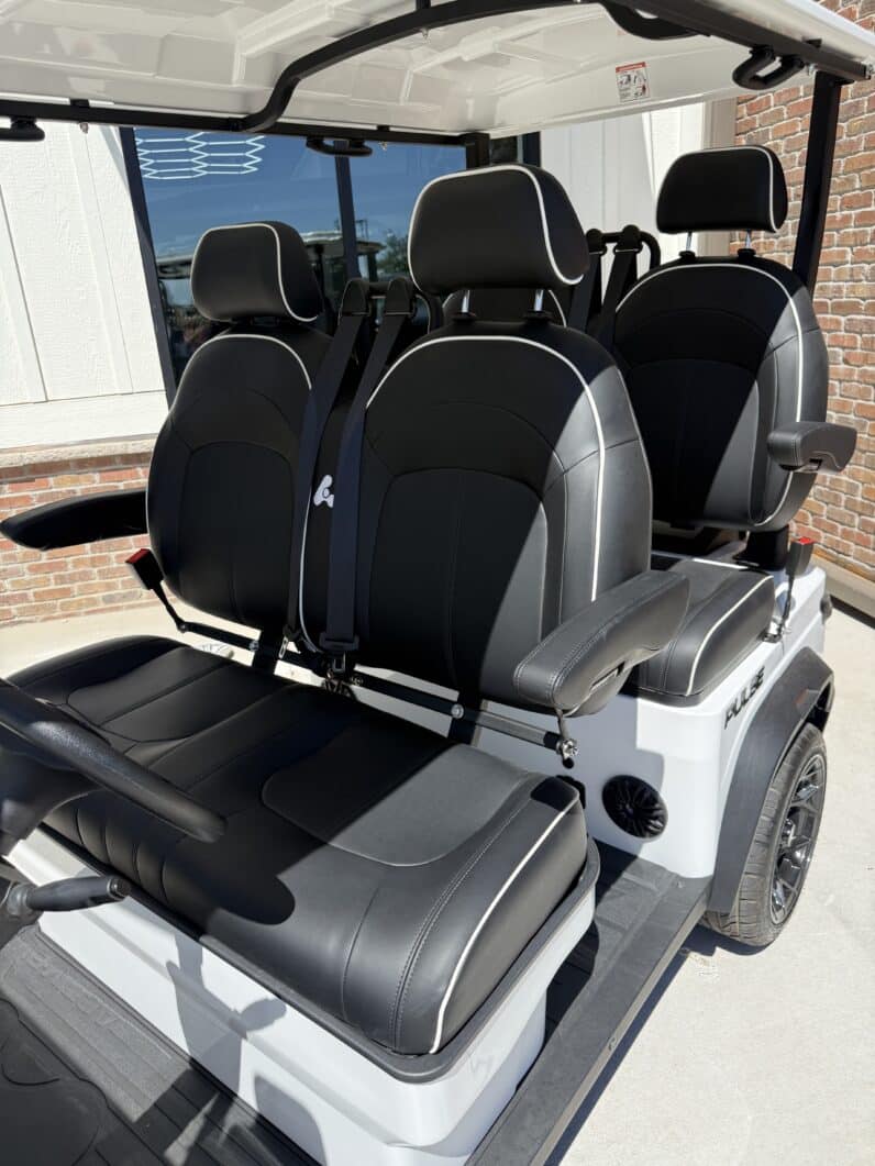
								2026 ActivEV Pulse 4 full									
